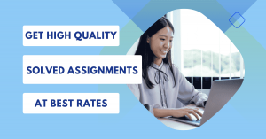 Solve Zone: Best Thesis Writing Service Provider